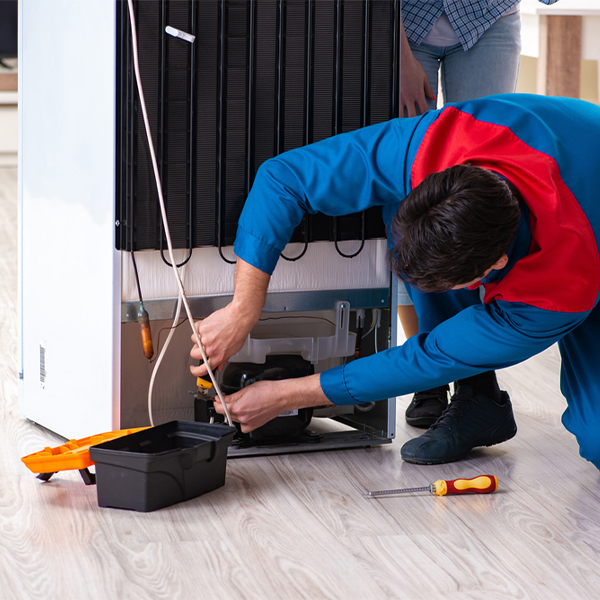 will the repair service cause any damage to my refrigerator in Anawalt West Virginia